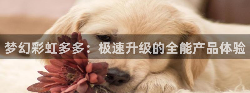 超凡国际app中文版下载：梦幻彩虹多多：极速升级的全能产品体验