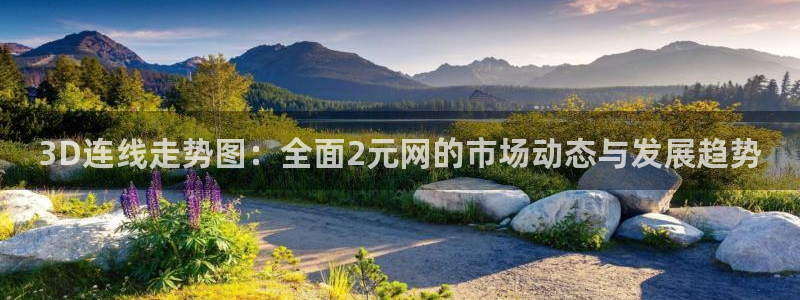 超凡国际免费版：3D连线走势图：全面2元网的市场动态与发展趋势