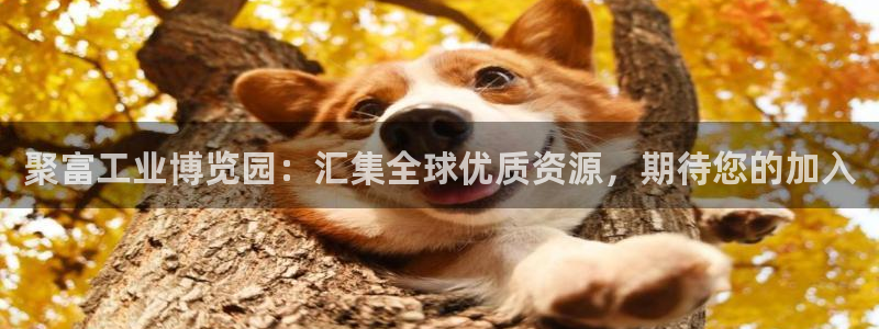 超凡国际怎么安装：聚富工业博览园：汇集全球优质资源，期待您的加入