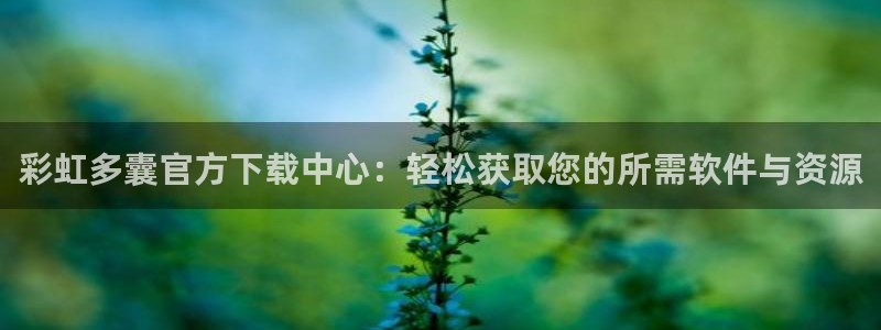 超凡国际.cn/admin：彩虹多囊官方下载中心：轻松获取您的所需软件与资源